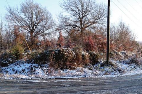 Winter arrives in Vernon!