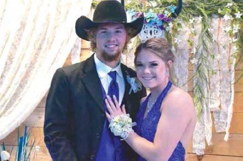 Article Image Alt Text