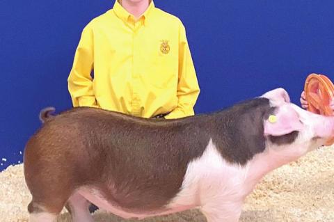 Wetumka animal control officer to be hired