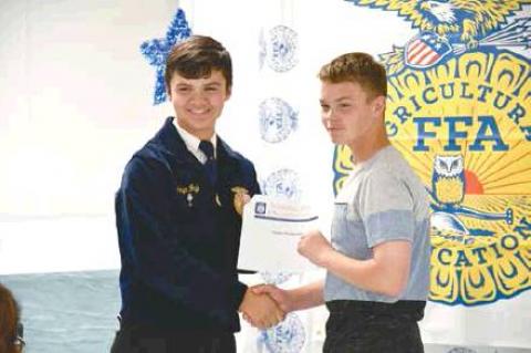 Article Image Alt Text