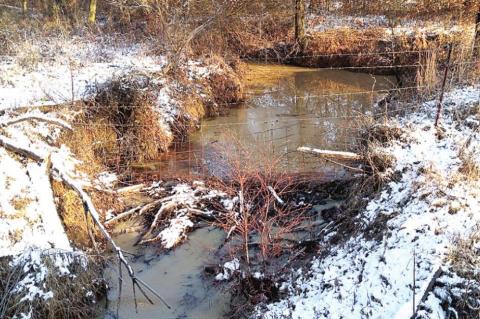 Winter arrives in Vernon!