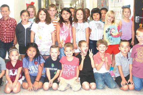 Article Image Alt Text