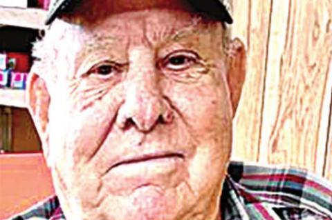 Article Image Alt Text