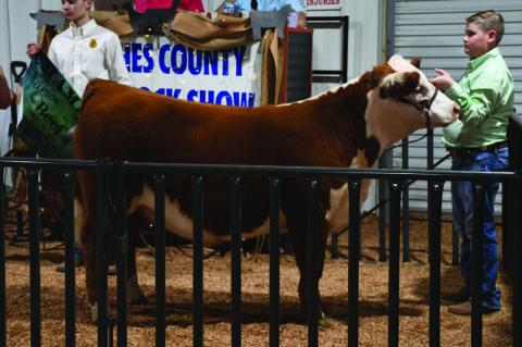 Hughes County Livestock Show