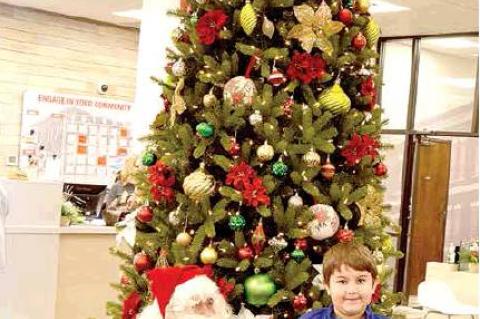 Article Image Alt Text