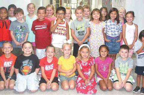 Article Image Alt Text