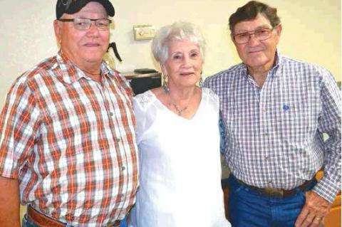 Article Image Alt Text