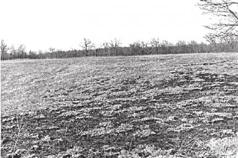 Black History is Oklahoma History