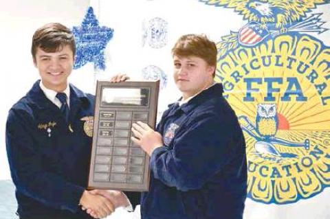 Article Image Alt Text