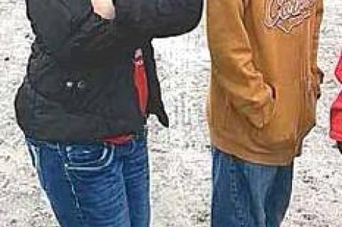 Article Image Alt Text