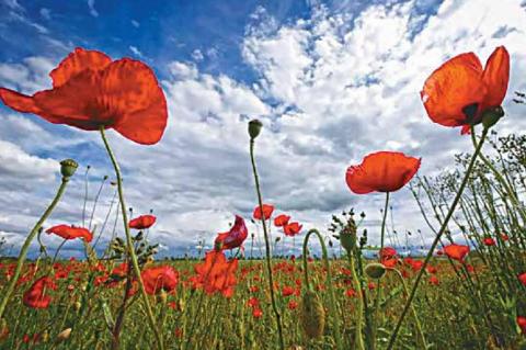 WHEN IS MEMORIAL DAY 2020?