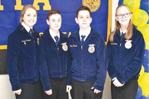 Article Image Alt Text