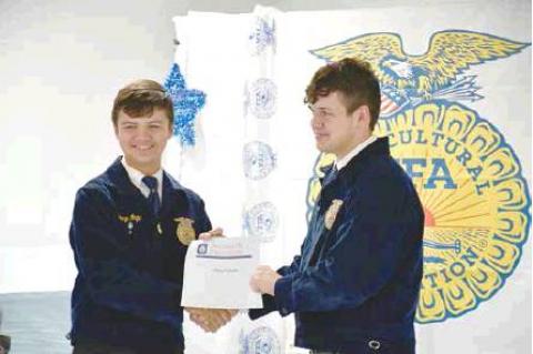 Article Image Alt Text