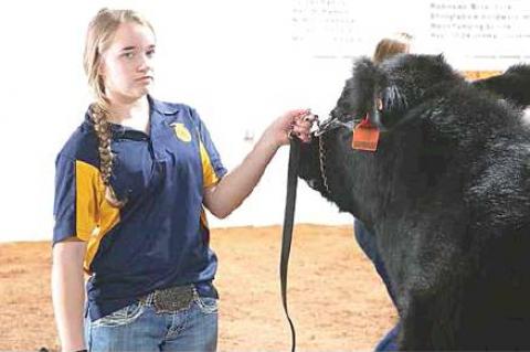 Moss local livestock show highlights