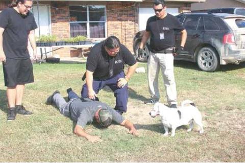 Article Image Alt Text