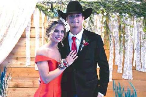 Article Image Alt Text