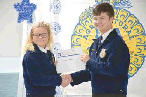 Article Image Alt Text