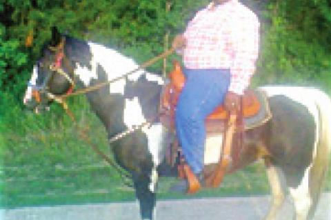 The Clearview Historical Society, Inc.