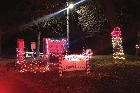 Article Image Alt Text