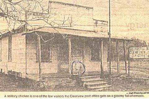 Article Image Alt Text