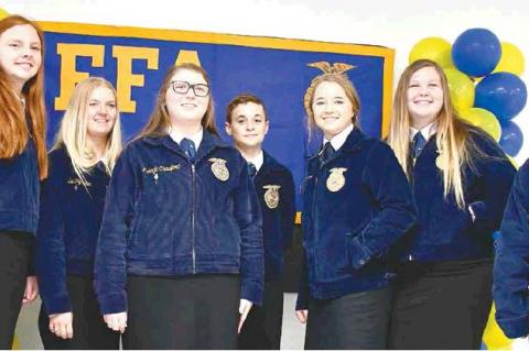 Article Image Alt Text