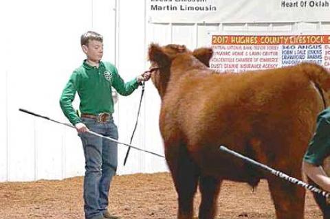 Moss local livestock show winners