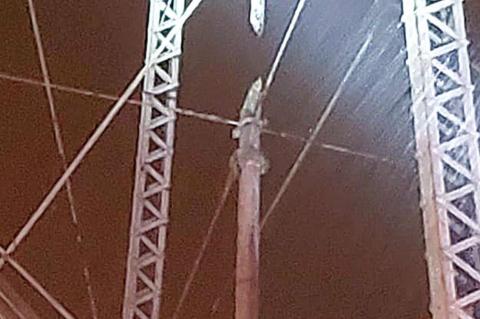 Dustin without water