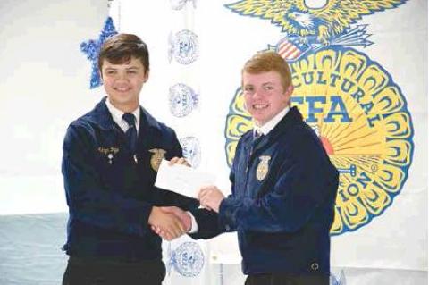 Article Image Alt Text