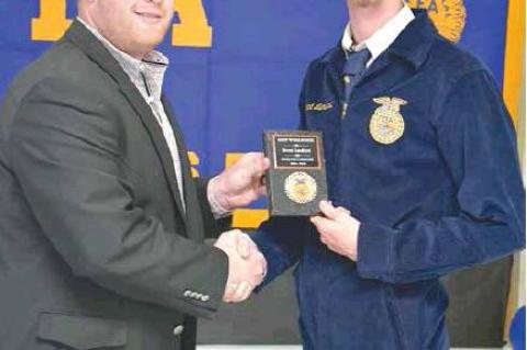 Article Image Alt Text