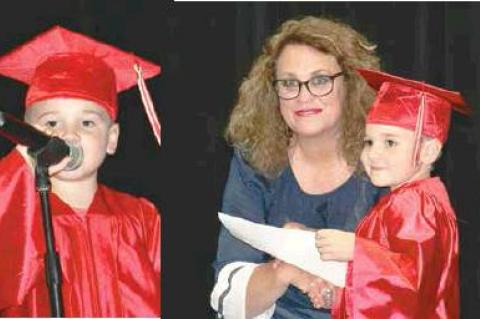 Article Image Alt Text