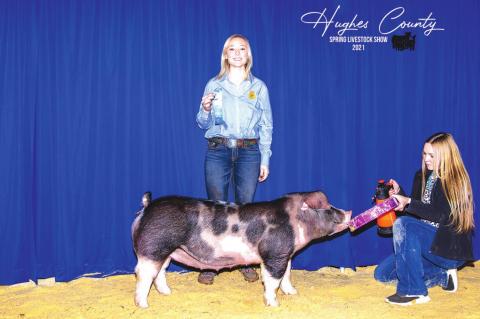 Hughes County Spring Livestock Show