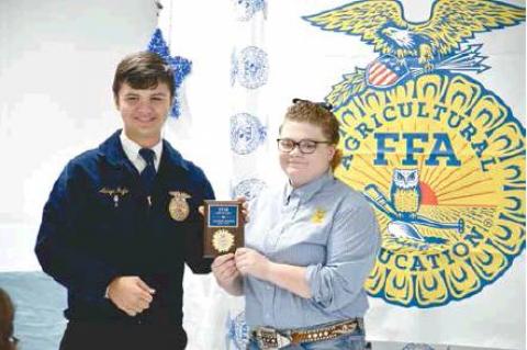 Article Image Alt Text