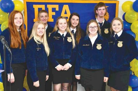 Article Image Alt Text