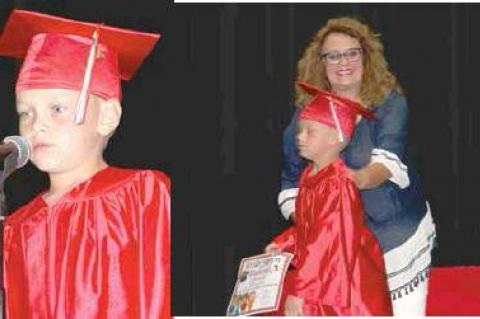 Article Image Alt Text