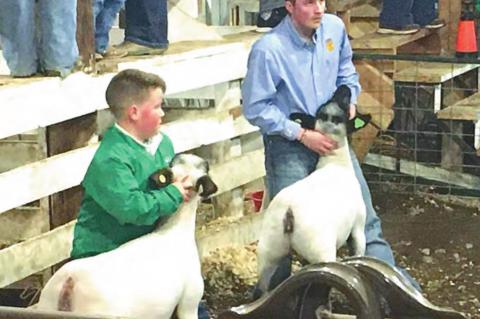 Stuart hosts annual livestock show