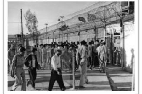 Detainees awaiting deportation in El Centro, California, 1954. Photo credit: Larry Sharky, Los Angeles Times