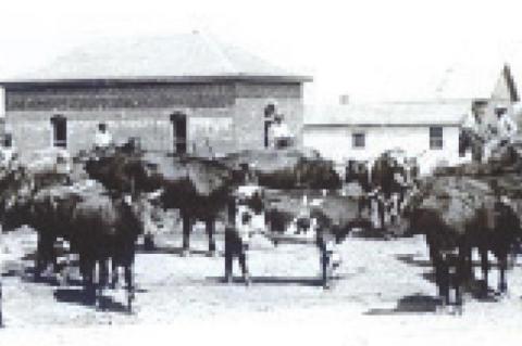 Article Image Alt Text