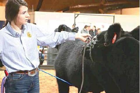 Moss local livestock show winners