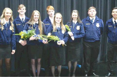 Article Image Alt Text