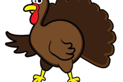 How to cook a turkey