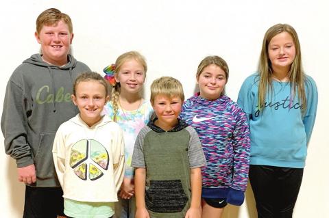 News from the Moss community