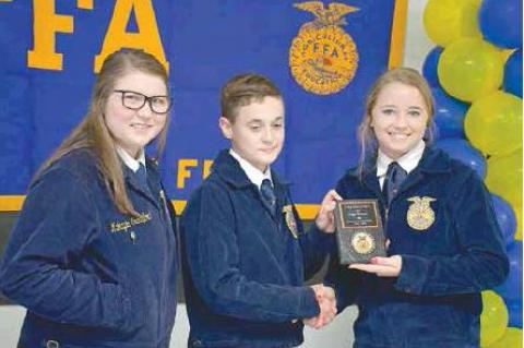 Article Image Alt Text